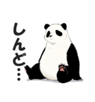 関西弁パンダ【大阪弁・方言・訛り・近畿】（個別スタンプ：33）