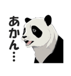 関西弁パンダ【大阪弁・方言・訛り・近畿】（個別スタンプ：37）