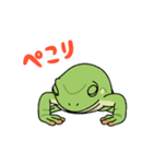 イエアメガエル！（個別スタンプ：6）