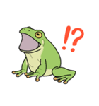 イエアメガエル！（個別スタンプ：11）