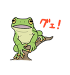 イエアメガエル！（個別スタンプ：39）
