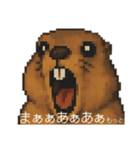 「まぁもっと」って言いたいマーモット3（個別スタンプ：14）
