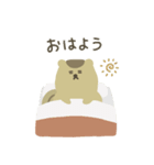 こりすの日常（挨拶）（個別スタンプ：1）