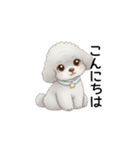 ふわふわトイプードル グレー（日常会話）（個別スタンプ：2）