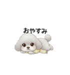 ふわふわトイプードル グレー（日常会話）（個別スタンプ：3）