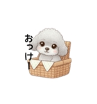 ふわふわトイプードル グレー（日常会話）（個別スタンプ：4）