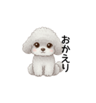 ふわふわトイプードル グレー（日常会話）（個別スタンプ：5）