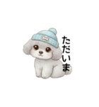 ふわふわトイプードル グレー（日常会話）（個別スタンプ：6）