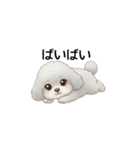 ふわふわトイプードル グレー（日常会話）（個別スタンプ：10）