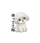 ふわふわトイプードル グレー（日常会話）（個別スタンプ：11）