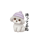 ふわふわトイプードル グレー（日常会話）（個別スタンプ：12）