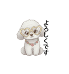 ふわふわトイプードル グレー（日常会話）（個別スタンプ：13）