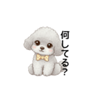 ふわふわトイプードル グレー（日常会話）（個別スタンプ：14）