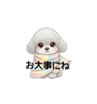 ふわふわトイプードル グレー（日常会話）（個別スタンプ：15）