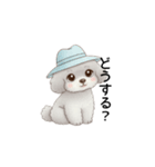 ふわふわトイプードル グレー（日常会話）（個別スタンプ：16）