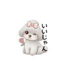 ふわふわトイプードル グレー（日常会話）（個別スタンプ：17）