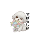 ふわふわトイプードル グレー（日常会話）（個別スタンプ：21）