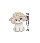 ふわふわトイプードル グレー（日常会話）（個別スタンプ：22）