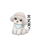 ふわふわトイプードル グレー（日常会話）（個別スタンプ：23）