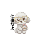 ふわふわトイプードル グレー（日常会話）（個別スタンプ：24）