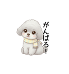 ふわふわトイプードル グレー（日常会話）（個別スタンプ：27）
