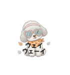 ふわふわトイプードル グレー（日常会話）（個別スタンプ：34）