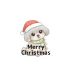 ふわふわトイプードル グレー（日常会話）（個別スタンプ：40）