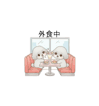 双子ちゃんスタンプ（トイプードル）（個別スタンプ：17）