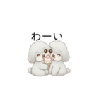 双子ちゃんスタンプ（トイプードル）（個別スタンプ：23）