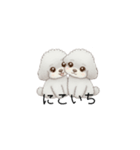 双子ちゃんスタンプ（トイプードル）（個別スタンプ：25）
