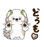 シーズー犬 2025 「北海道弁」（個別スタンプ：2）