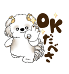 シーズー犬 2025 「北海道弁」（個別スタンプ：3）
