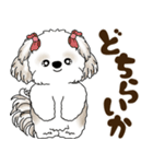シーズー犬 2025 「北海道弁」（個別スタンプ：8）