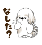 シーズー犬 2025 「北海道弁」（個別スタンプ：9）