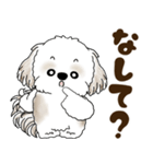 シーズー犬 2025 「北海道弁」（個別スタンプ：10）