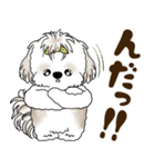シーズー犬 2025 「北海道弁」（個別スタンプ：12）