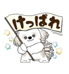 シーズー犬 2025 「北海道弁」（個別スタンプ：13）