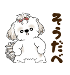 シーズー犬 2025 「北海道弁」（個別スタンプ：15）