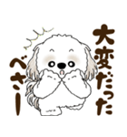 シーズー犬 2025 「北海道弁」（個別スタンプ：17）