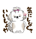 シーズー犬 2025 「北海道弁」（個別スタンプ：19）