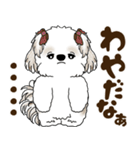 シーズー犬 2025 「北海道弁」（個別スタンプ：21）