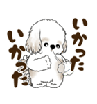 シーズー犬 2025 「北海道弁」（個別スタンプ：23）