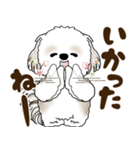 シーズー犬 2025 「北海道弁」（個別スタンプ：24）