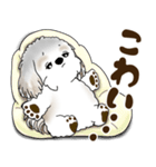 シーズー犬 2025 「北海道弁」（個別スタンプ：25）