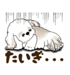 シーズー犬 2025 「北海道弁」（個別スタンプ：26）