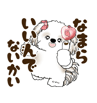 シーズー犬 2025 「北海道弁」（個別スタンプ：27）