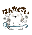 シーズー犬 2025 「北海道弁」（個別スタンプ：29）