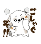 シーズー犬 2025 「北海道弁」（個別スタンプ：30）