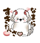 シーズー犬 2025 「北海道弁」（個別スタンプ：31）