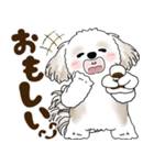 シーズー犬 2025 「北海道弁」（個別スタンプ：34）